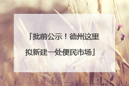 批前公示！德州这里拟新建一处便民市场