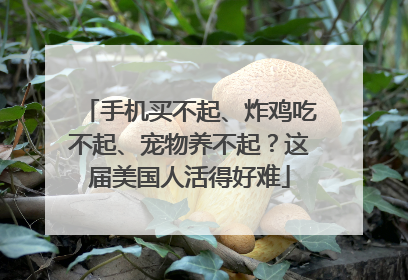 手机买不起、炸鸡吃不起、宠物养不起？这届美国人活得好难