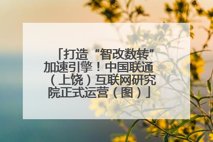 打造“智改数转”加速引擎！中国联通（上饶）互联网研究院正式运营（图）