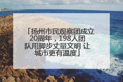 扬州市民观察团成立20周年，198人团队用脚步丈量文明 让城市更有温度