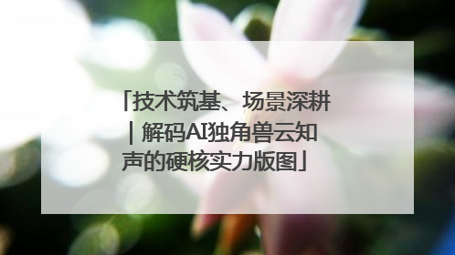 技术筑基、场景深耕｜解码AI独角兽云知声的硬核实力版图