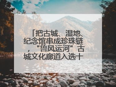把古城、湿地、纪念馆串成珍珠链，“鲁风运河”古城文化廊道入选十大最美农村路