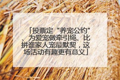 投票定“养宠公约”、为爱宠做牵引绳、比拼谁家人宠最默契，这场活动有趣更有意义