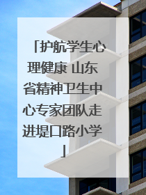 护航学生心理健康 山东省精神卫生中心专家团队走进堤口路小学
