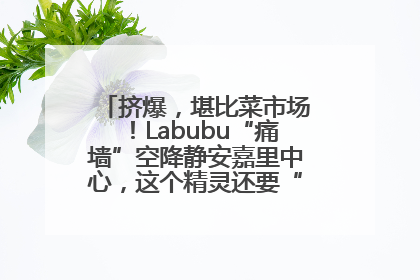 挤爆，堪比菜市场！Labubu“痛墙”空降静安嘉里中心，这个精灵还要“突袭”便利店？