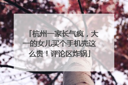 杭州一家长气疯，大一的女儿买个手机壳这么贵！评论区炸锅