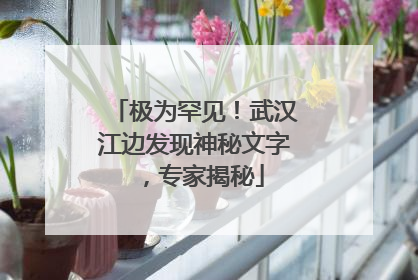 极为罕见！武汉江边发现神秘文字，专家揭秘