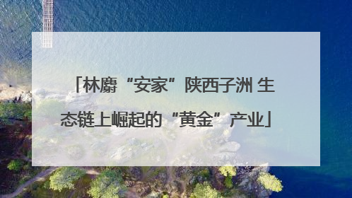 林麝“安家”陕西子洲 生态链上崛起的“黄金”产业
