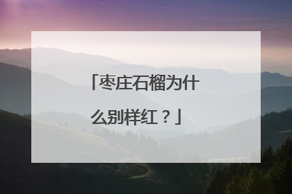 枣庄石榴为什么别样红？