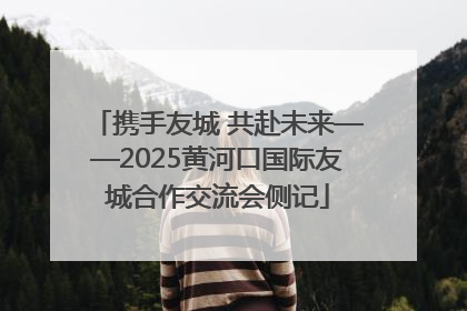 携手友城 共赴未来——2025黄河口国际友城合作交流会侧记