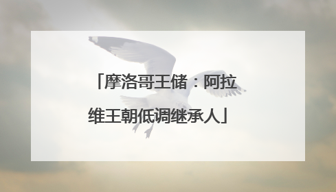 摩洛哥王储：阿拉维王朝低调继承人