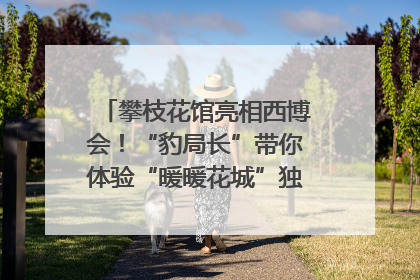 攀枝花馆亮相西博会！“豹局长”带你体验“暖暖花城”独特魅力｜西博视界