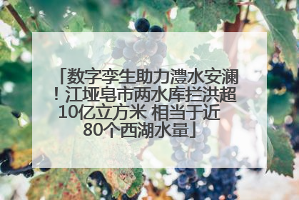 数字孪生助力澧水安澜！江垭皂市两水库拦洪超10亿立方米 相当于近80个西湖水量
