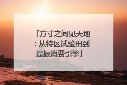 方寸之间见天地：从特区试验田到提振消费引擎