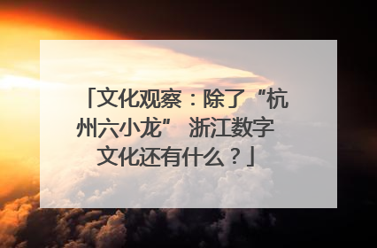 文化观察：除了“杭州六小龙” 浙江数字文化还有什么？