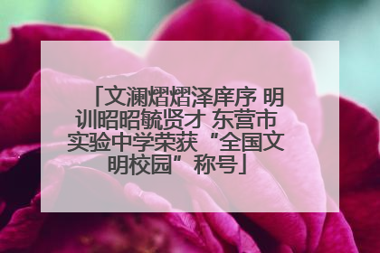 文澜熠熠泽庠序 明训昭昭毓贤才 东营市实验中学荣获“全国文明校园”称号