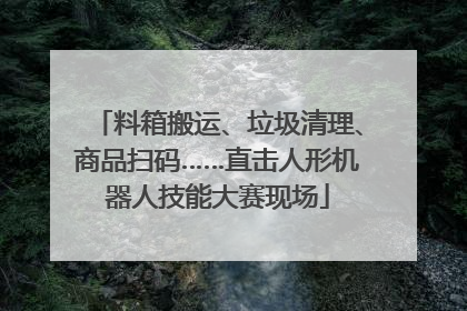 料箱搬运、垃圾清理、商品扫码……直击人形机器人技能大赛现场