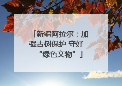 新疆阿拉尔：加强古树保护 守好“绿色文物”