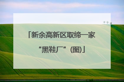 新余高新区取缔一家“黑鞋厂”(图)