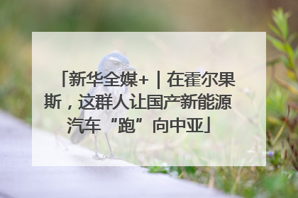 新华全媒+｜在霍尔果斯，这群人让国产新能源汽车“跑”向中亚