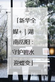 新华全媒+｜湖南岳阳：守护碧水迎蝶变