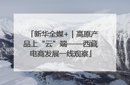 新华全媒+｜高原产品上“云”端——西藏电商发展一线观察