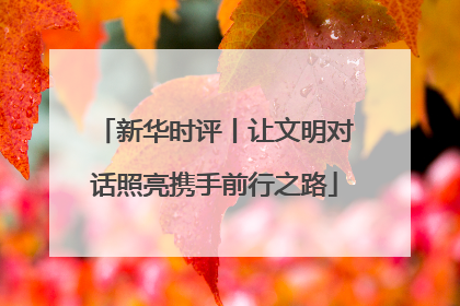 新华时评丨让文明对话照亮携手前行之路