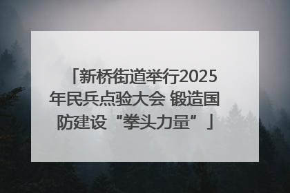 新桥街道举行2025年民兵点验大会 锻造国防建设“拳头力量”
