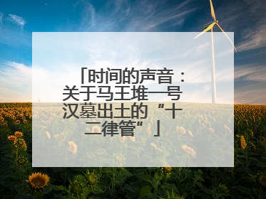 时间的声音：关于马王堆一号汉墓出土的“十二律管”