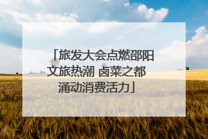 旅发大会点燃邵阳文旅热潮 卤菜之都涌动消费活力