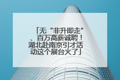 无“非升即走”、百万高薪诚聘！湖北赴南京引才活动这个展台火了