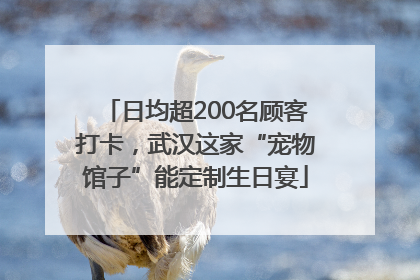 日均超200名顾客打卡，武汉这家“宠物馆子”能定制生日宴