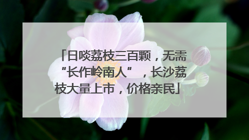 日啖荔枝三百颗，无需“长作岭南人”，长沙荔枝大量上市，价格亲民