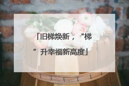 旧梯焕新，“梯”升幸福新高度