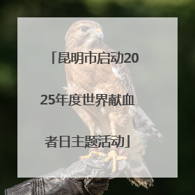 昆明市启动2025年度世界献血者日主题活动