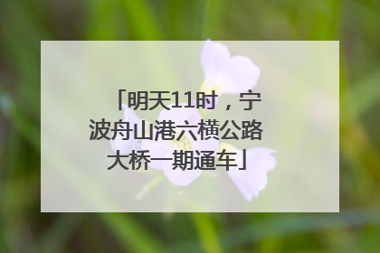 明天11时，宁波舟山港六横公路大桥一期通车