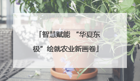 智慧赋能 “华夏东极”绘就农业新画卷