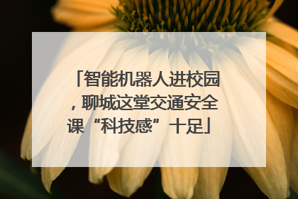 智能机器人进校园，聊城这堂交通安全课“科技感”十足