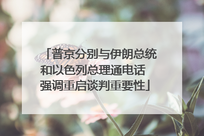 普京分别与伊朗总统和以色列总理通电话 强调重启谈判重要性