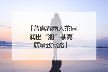 普惠春雨入茶园 润出“湘”茶高质量致富路