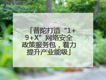 普陀打造“1+9+X”网络安全政策服务包，着力提升产业能级