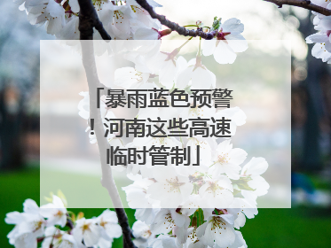 暴雨蓝色预警！河南这些高速临时管制