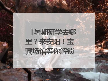 暑期研学去哪里？来安阳！宝藏场馆等你解锁文化“凉方”