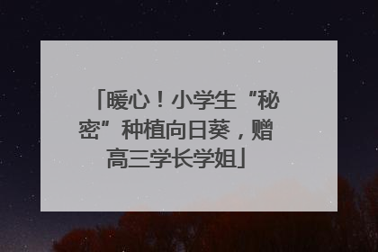 暖心！小学生“秘密”种植向日葵，赠高三学长学姐