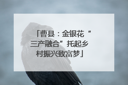 曹县：金银花“三产融合”托起乡村振兴致富梦