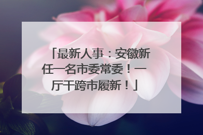 最新人事：安徽新任一名市委常委！一厅干跨市履新！