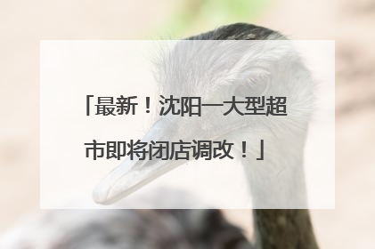 最新！沈阳一大型超市即将闭店调改！