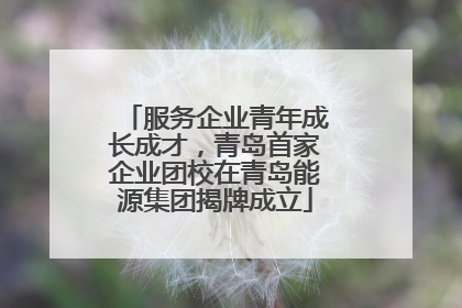 服务企业青年成长成才，青岛首家企业团校在青岛能源集团揭牌成立