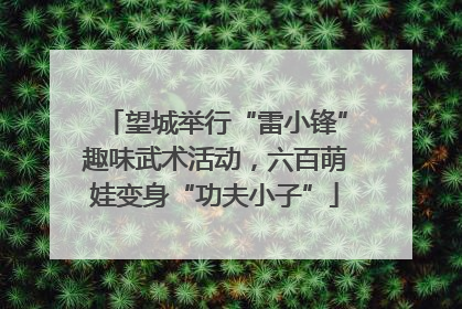 望城举行“雷小锋”趣味武术活动，六百萌娃变身“功夫小子”