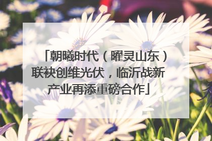 朝曦时代（曜灵山东）联袂创维光伏，临沂战新产业再添重磅合作